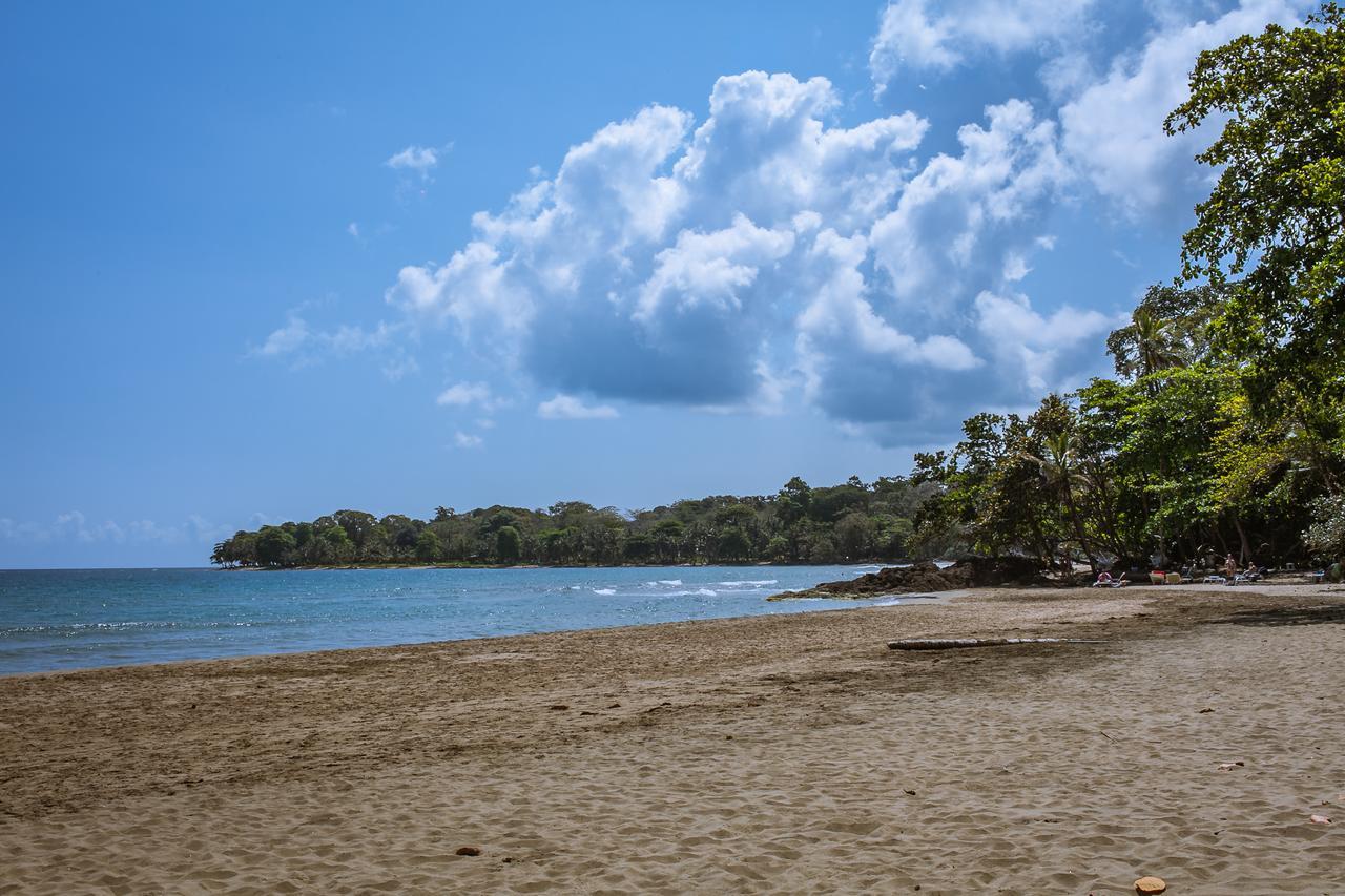 Lapalapa Beachfront Hotel Puerto Viejo de Talamanca Екстер'єр фото