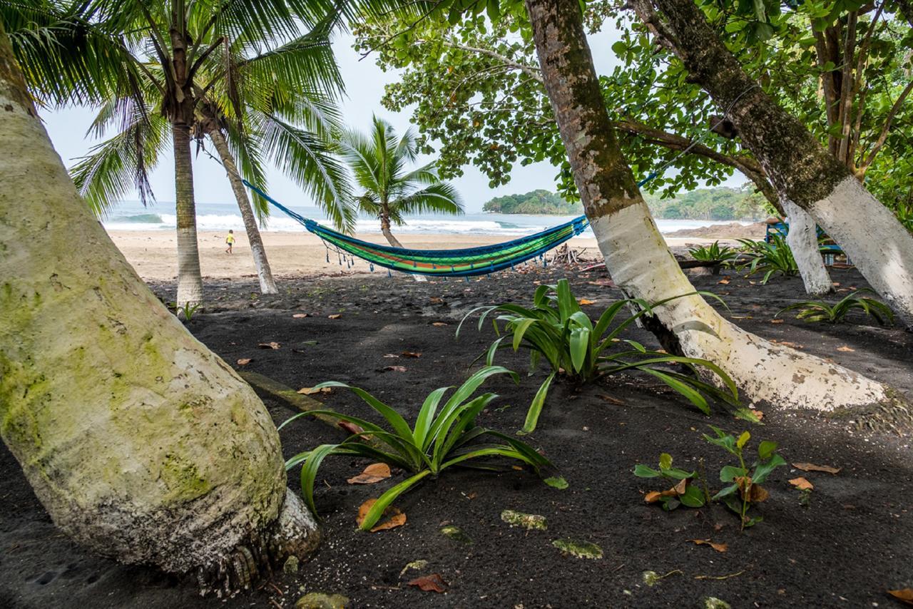 Lapalapa Beachfront Hotel Puerto Viejo de Talamanca Екстер'єр фото