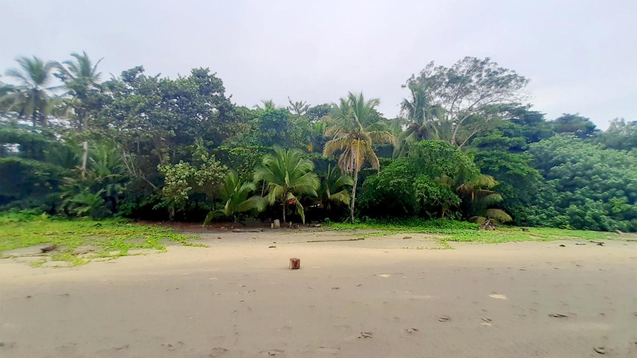Lapalapa Beachfront Hotel Puerto Viejo de Talamanca Екстер'єр фото