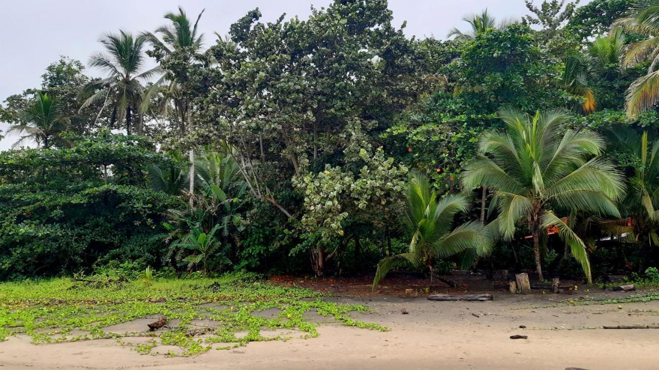 Lapalapa Beachfront Hotel Puerto Viejo de Talamanca Екстер'єр фото