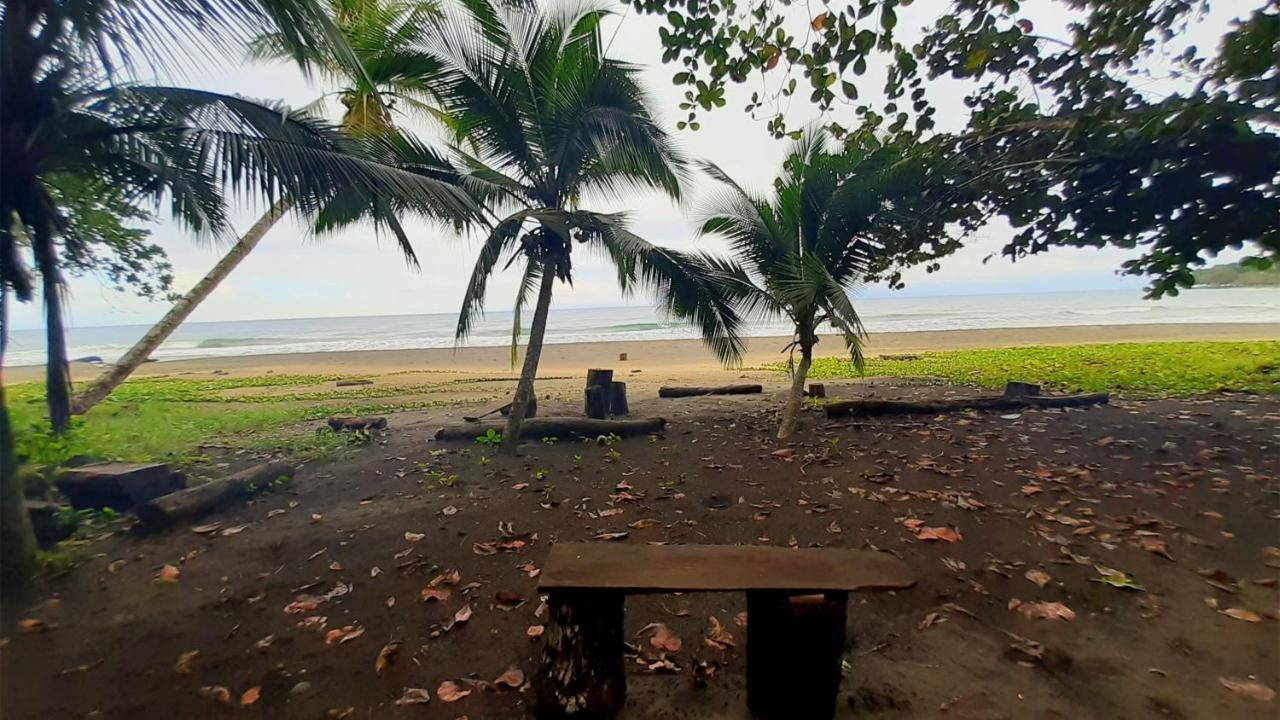 Lapalapa Beachfront Hotel Puerto Viejo de Talamanca Екстер'єр фото