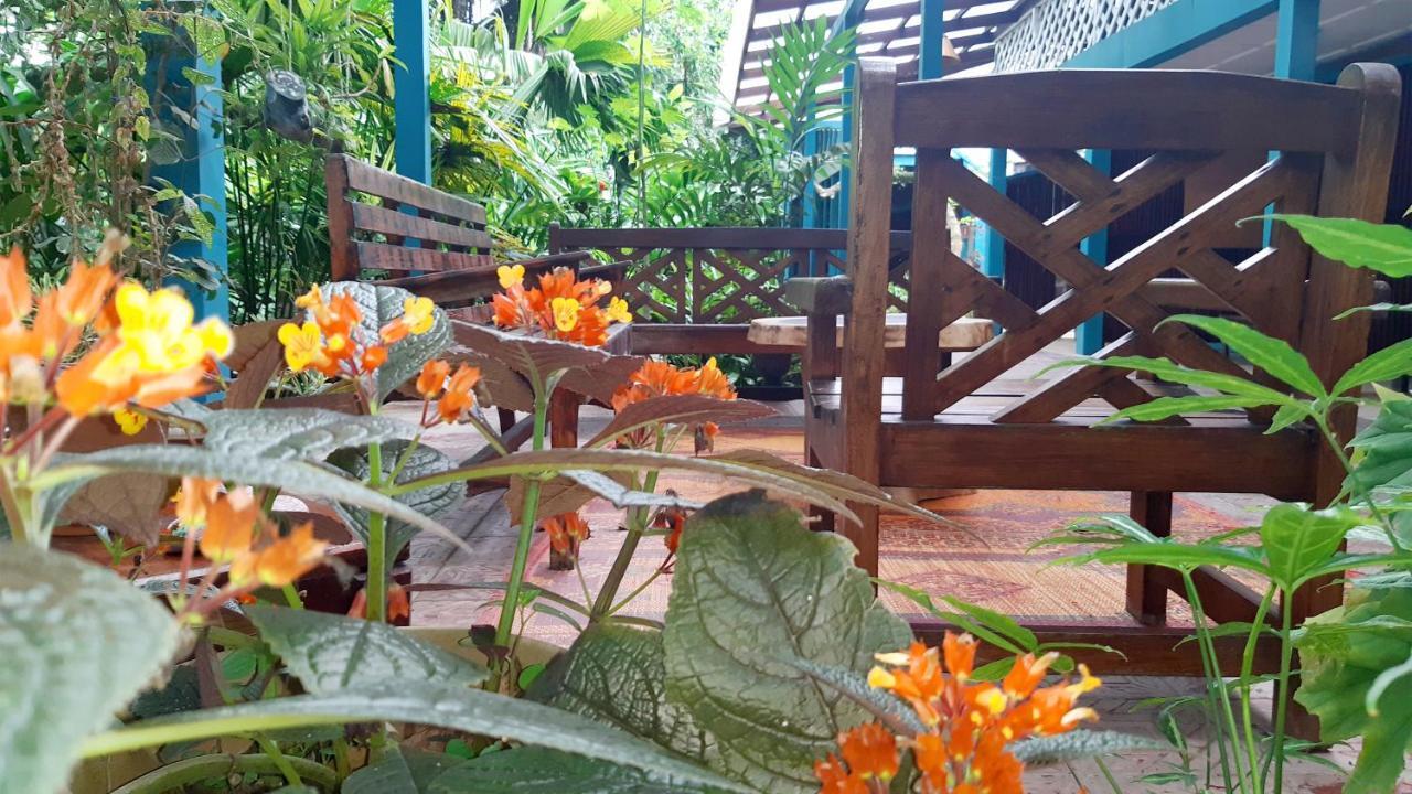 Lapalapa Beachfront Hotel Puerto Viejo de Talamanca Екстер'єр фото
