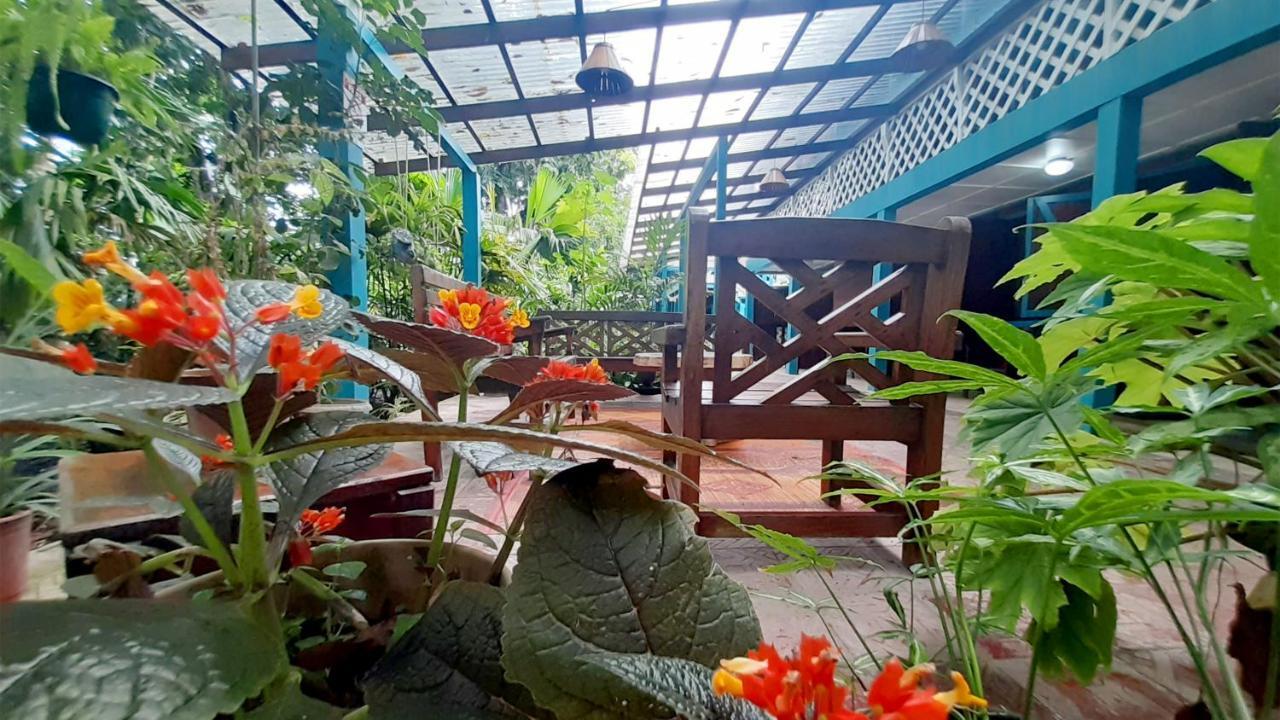 Lapalapa Beachfront Hotel Puerto Viejo de Talamanca Екстер'єр фото